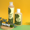 Anti-waste Eco-friendly lemon eucalyptus Multi-Purpose Soap - Druide Eco Trail