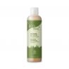 Shampoing Gel Douche EcoTrail Druide à l'eucalyptus citronné - soin 2 en 1 corps et cheveux certifié ECOCERT - 250 ml