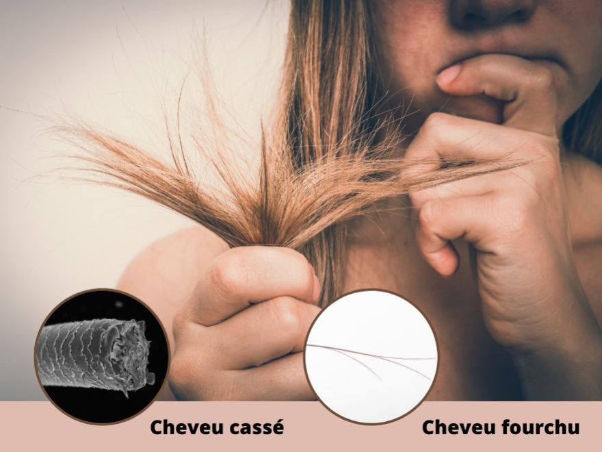 Cheveux cassants et fourchus : comment les réparer et les prévenir naturellement