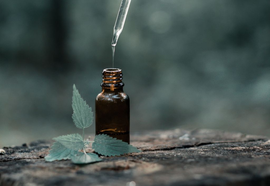 Les cosmétiques végans & Bio Druide : une harmonie parfaite avec la nature