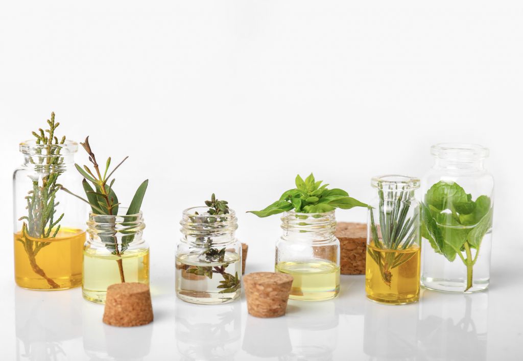 Les cosmétiques écologiques : un geste pour votre peau et la planète
