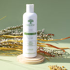 Shampoing Mélaleuque Laboratoires Druide – Le soin naturel expert du cuir chevelu
