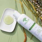 Shampoing Mélaleuque Laboratoires Druide – Le soin naturel expert du cuir chevelu