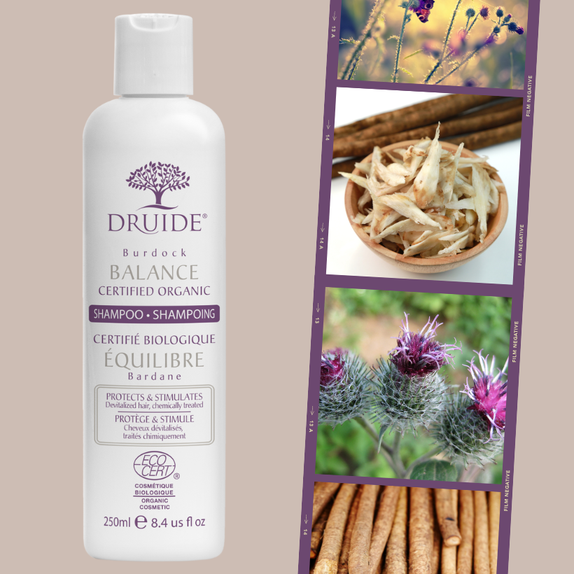 Shampoing bio Equlibre - cheveux mixtes, prévient les chutes - Druide
