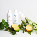 Shampoing Fréquence bio - Cheveux normaux, usages fréquents - Laboratoires Druide