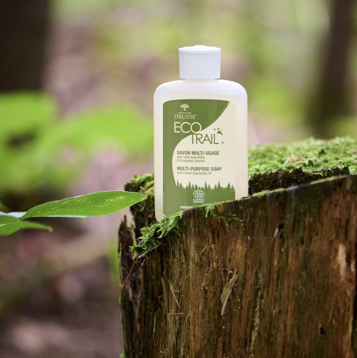 Savon multi-usage bio, écologique à l'eucalyptus citronné - Druide EcoTrail