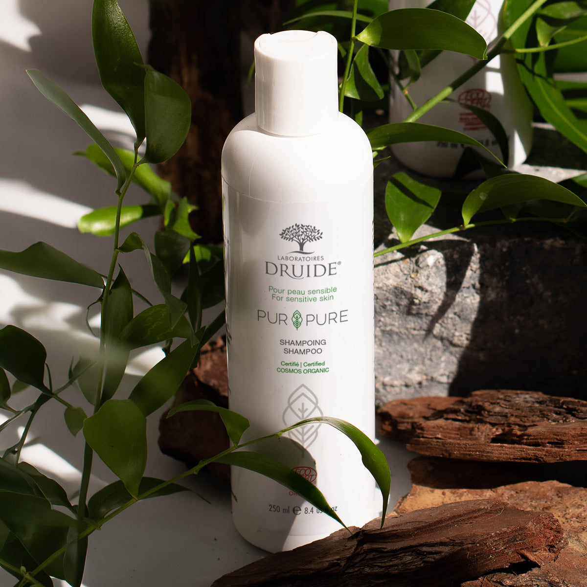 Duo Shampoings Bio - Routine Dermite Séborrhéique