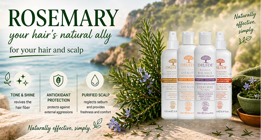 The Benefits of Rosemary for Hair and Scalp